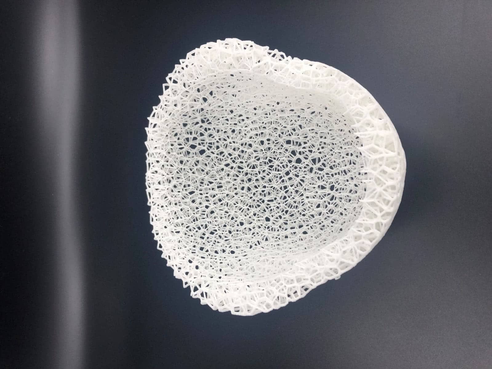 Rapid 3D - EOS Digital foam material (Image courtesy of EOS.)